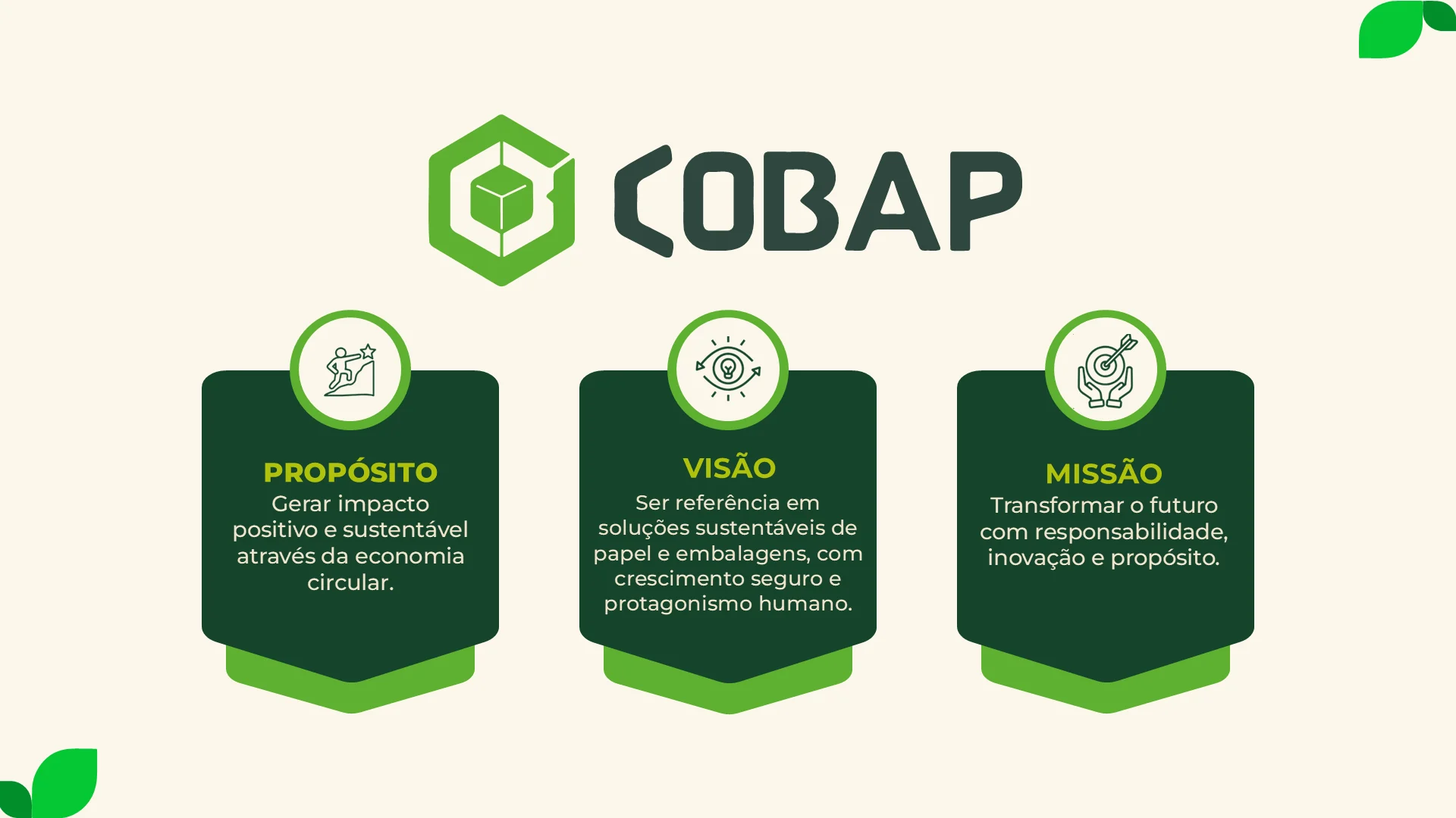 Propósito, visão e missão COBAP