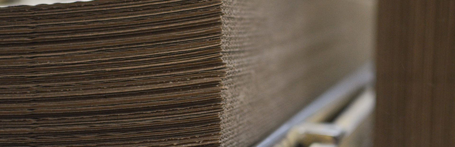 Reciclagem do papelão ondulado: por que ela é tão importante?