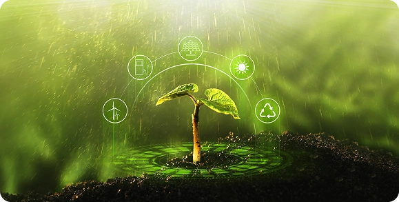 Imagem representando sustentabilidade e responsabilidade ambiental