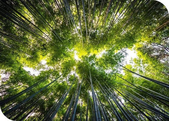 SGI Políticas de Sustentabilidade